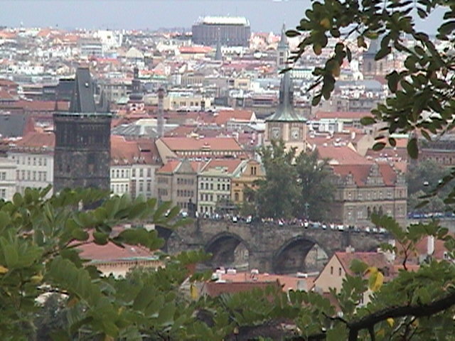 View from castle area.