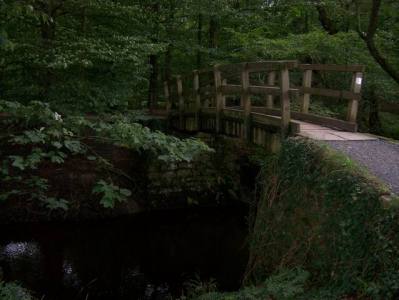 Bridge