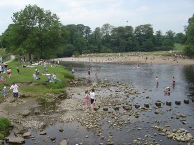 Stepping Stones