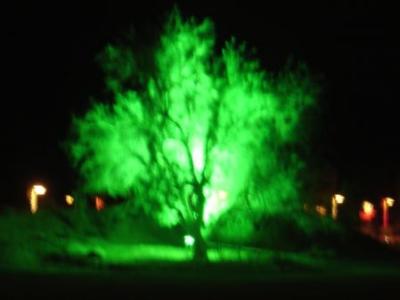 Glowing Tree