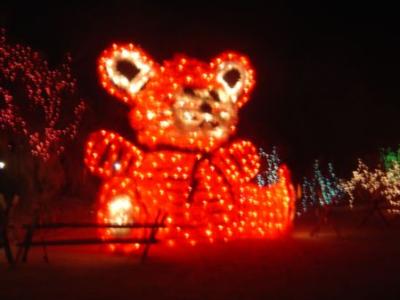 Enormous Teddy Bear