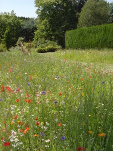 RHS Garden Harlow Carr