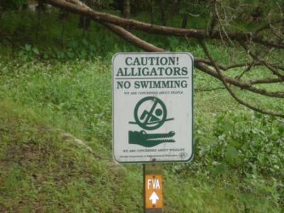 Caution Alligators! No Swimming.