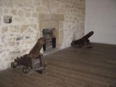 Cannon